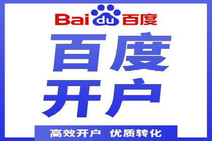 Sem优化公司案例：精准广告投放策略解析